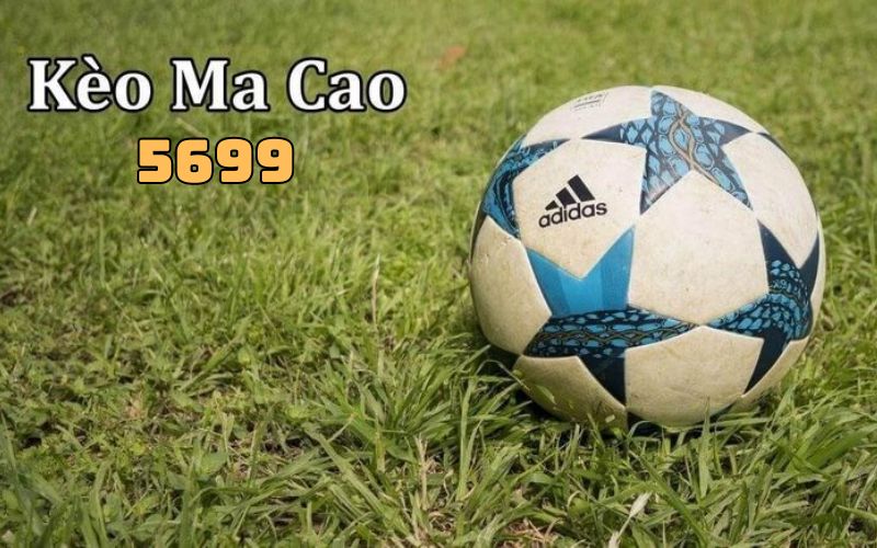 Kinh nghiệm cược kèo ma cao thắng lớn